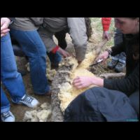 prakticka encyklopedie strihani ovci4.jpg